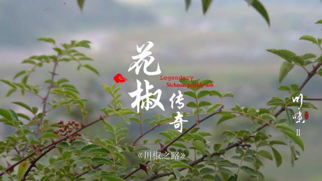美食纪录片《川味》新春特别节目《乡厨》定档春节开播(图1)