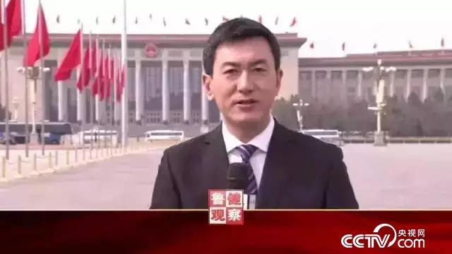 CCTV4中文国际频道带您看两会！(图3)