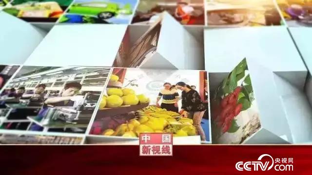 CCTV4中文国际频道带您看两会！(图4)